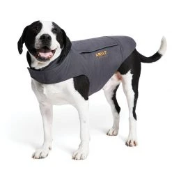 Horse Blankets & Stable Sheets Ariat Team DuraCanvas Insulated Dog Jacket