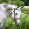 KL Select Italia Middleburg Hunter Bridle English Bridles