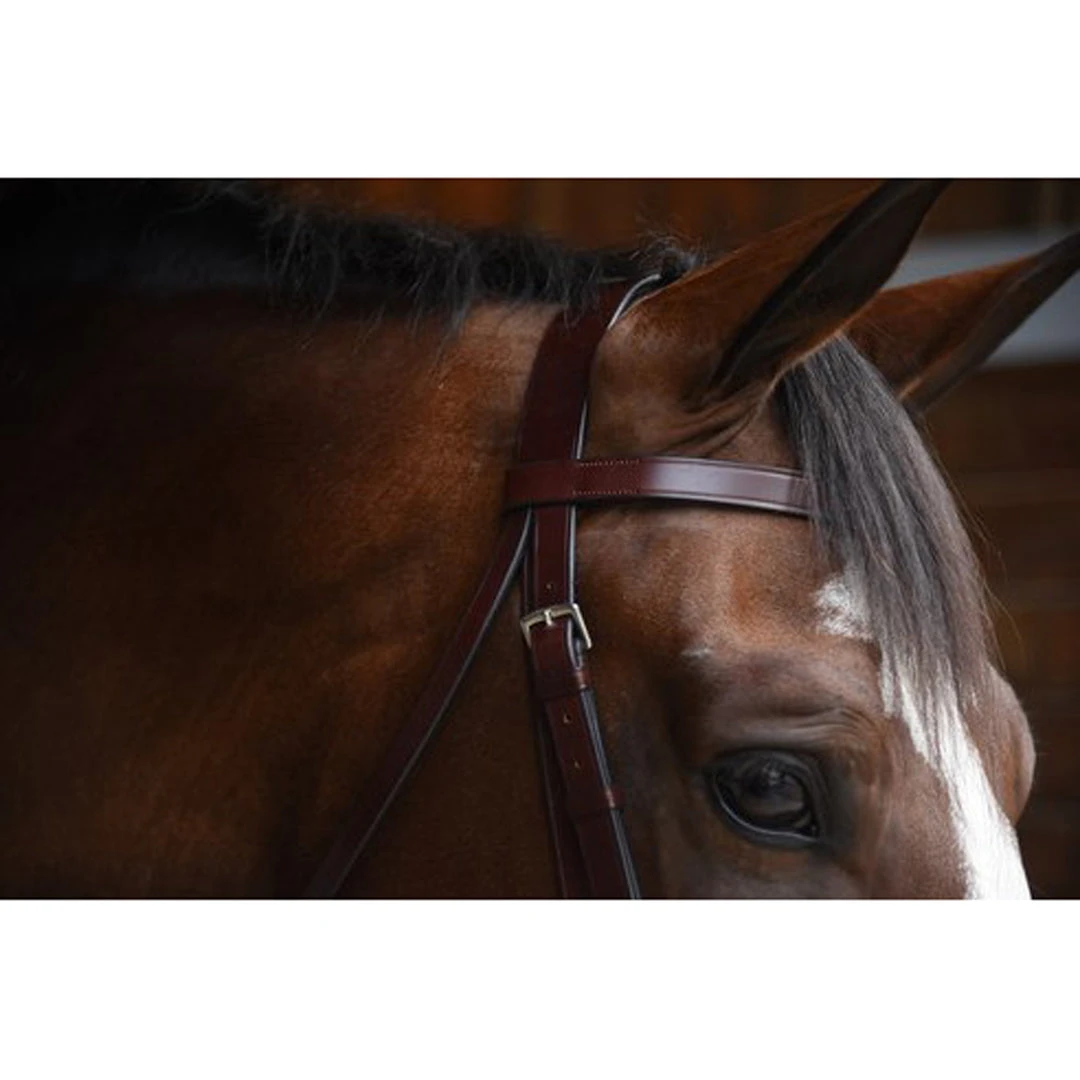 Budget 🎁 KL Select Italia Foxwell Hunt Bridle ⭐ 4 KL Select Italia Foxwell Hunt Bridle