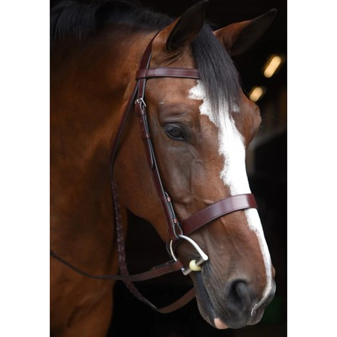 Budget 🎁 KL Select Italia Foxwell Hunt Bridle ⭐ 3 KL Select Italia Foxwell Hunt Bridle