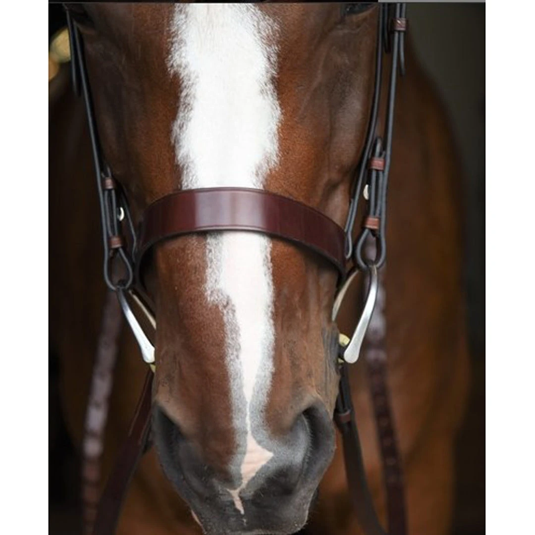 Budget 🎁 KL Select Italia Foxwell Hunt Bridle ⭐ 5 KL Select Italia Foxwell Hunt Bridle