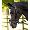 English Bridles KL Select Italia Pirouette Bridle