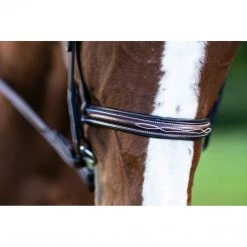 KL Select Italia Venezia Hunter Bridle English Bridles