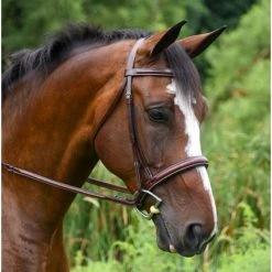 KL Select Italia Del Mar Hunter Bridle