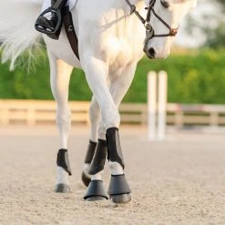 Buy 🤩 EquiFit Essential Everyday Front Boot Horse Boots & Wraps ✔️ 12 EquiFit Essential Everyday Front Boot Horse Boots & Wraps