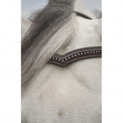 English Bridles KL Select Italia Pirouette Browband