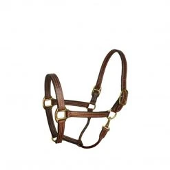 Perri's Leather Stable Halter Halters & Leads