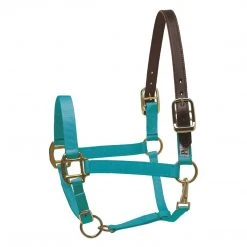 Perri's Leather Perri's Economy Safety Halter Halters & Leads