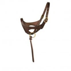 Perri's Leather Perri's Premium Leather Foal Halter