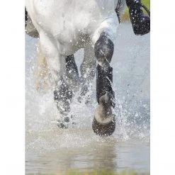 Cheap ⭐ Shires Equestrian Products Arma Cross Country Front 🛒 Boots Horse Boots & Wraps 🔔 5 Shires Equestrian Products Arma Cross Country Front Boots Horse Boots & Wraps