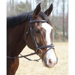 JPC Equestrian HDR Kushy Bridle With Detachable Flash