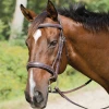 Discount โค๏ธ Shires Equestrian Products English Bridles Avignon Wellington Bridle โ๏ธ 1 Shires Equestrian Products English Bridles Avignon Wellington Bridle