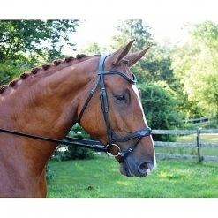 Red Barn By KL Select Arena Ergonomic Bridle