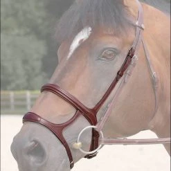 Sagmae Dyon New English Double Noseband