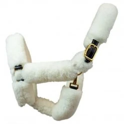 Walsh Shipping Halter