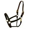 Promo 👍 Halters & Leads Walsh Breakaway 1" Halter With Straight Chin ❤️ 1 Halters & Leads Walsh Breakaway 1" Halter With Straight Chin