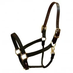 Halters & Leads Walsh Breakaway 1" Halter With Straight Chin