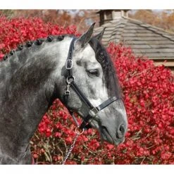 Halters & Leads Red Barn By KL Select Tina Halter