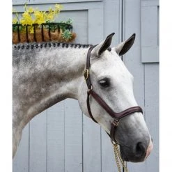 Red Barn By KL Select Devon Ergonomic Halter Halters & Leads