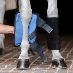 Cheap โญ Equifit Essential Cold Therapy Tendon ๐ฏ Boots Grooming โ๏ธ 9 Equifit Essential Cold Therapy Tendon Boots Grooming