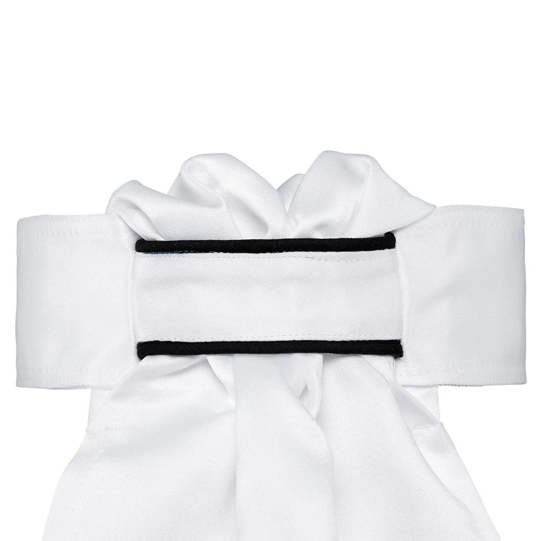 Promo 🎉 Equestrian Accessories All Tied Up Plain Jane Stock Ties 🛒 8 Equestrian Accessories All Tied Up Plain Jane Stock Ties