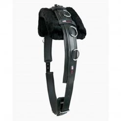 Walsh PCN Training Surcingle With Pad Horse Training Equipment