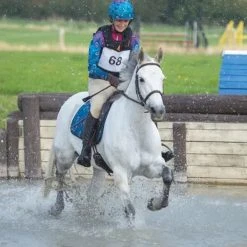 Shires Equestrian Products Number Bib Equestrian Accessories