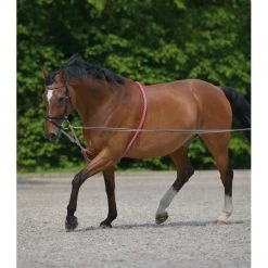 Horse Training Equipment Waldhausen Lunging Aid