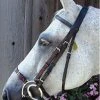Brand new โ๏ธ Nunn Finer Adjustable Lever Noseband English Bridles ๐ 2 Nunn Finer Adjustable Lever Noseband English Bridles