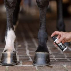 EquiFit AG Silver Wound Spray