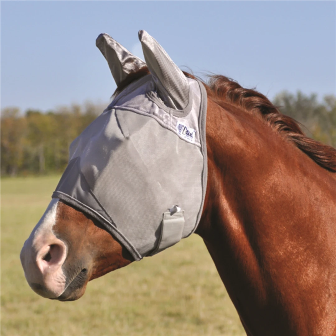 Brand new ๐ Cashel Crusader Standard Fly Mask ๐ 4 Cashel Crusader Standard Fly Mask