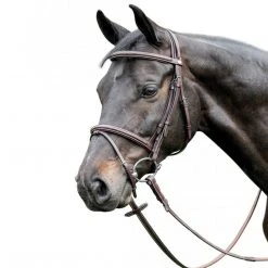 Gifts For Your Horse Prestige 3E037 Fancy Stitched Raised Bridle
