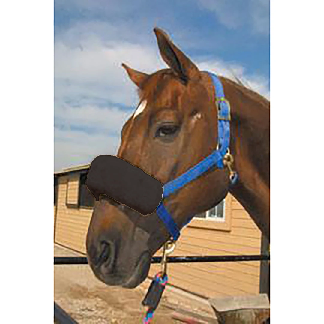 Flash Sale 🎉 Equine Comfort Products ECP Halter Fleece Noseband Cover 🌟 4 Equine Comfort Products ECP Halter Fleece Noseband Cover