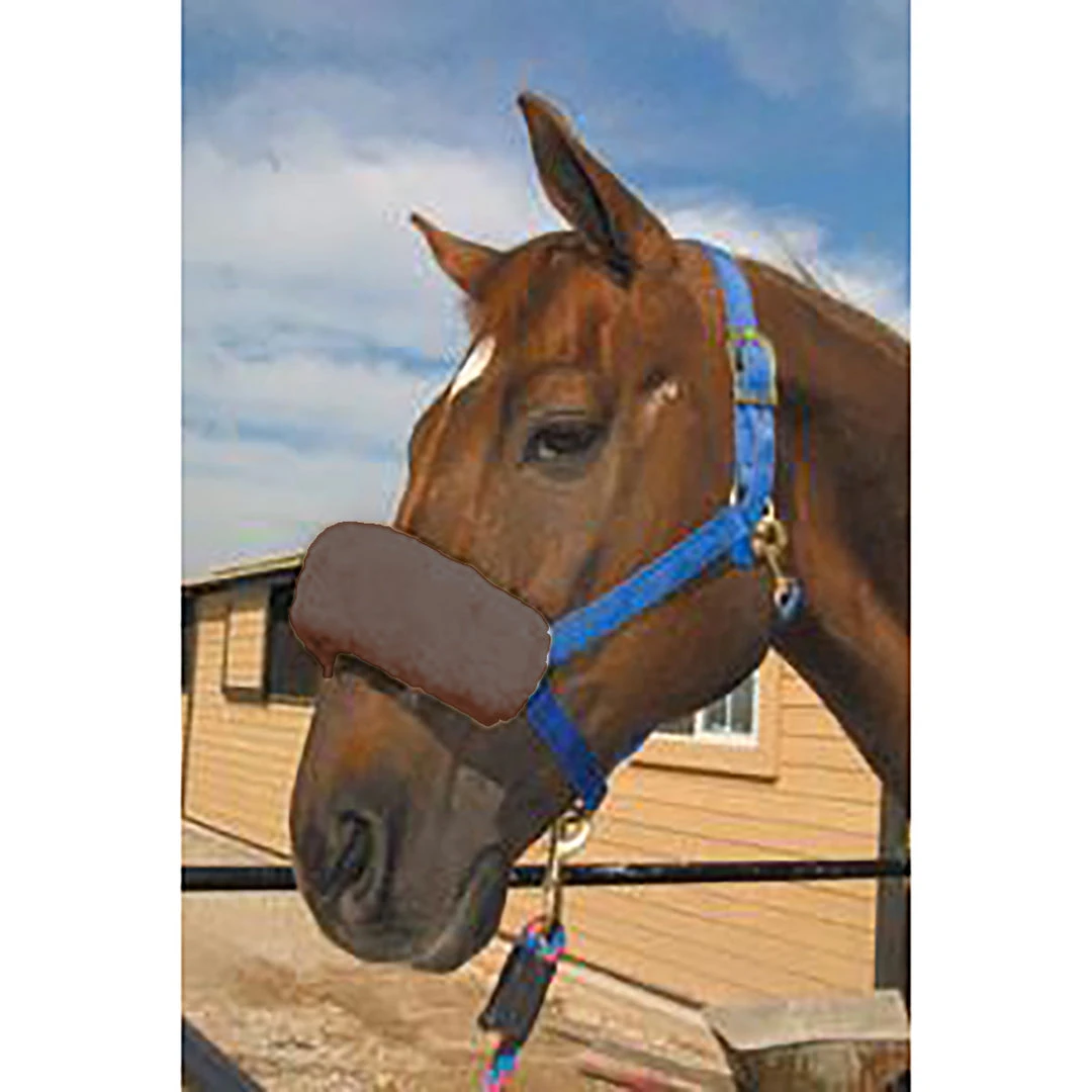 Flash Sale 🎉 Equine Comfort Products ECP Halter Fleece Noseband Cover 🌟 5 Equine Comfort Products ECP Halter Fleece Noseband Cover