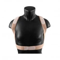 EquiFit ShouldersBack Lite Equestrian Accessories