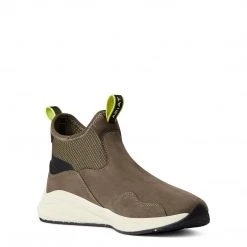 Best reviews of ✨ Riding ⭐ Boots & Half Chaps Ariat Women's Ignite Chelsea Waterproof Boot 🔔 23 Riding Boots & Half Chaps Ariat Women's Ignite Chelsea Waterproof Boot