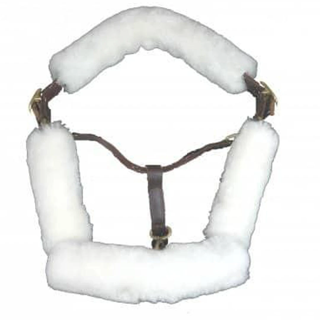 New 😀 Halters & Leads Fleeceworks Halter Padded Fleeces ⭐ 3 Halters & Leads Fleeceworks Halter Padded Fleeces