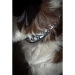French Equestrian Penelope Pearl Dog Collar