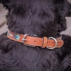 French Equestrian Penelope Pearl Dog Collar