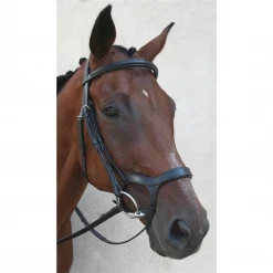 Hot Sale ✔️ Nunn Finer Innovativo Shaped Bridle English Bridles 🎁 7 Nunn Finer Innovativo Shaped Bridle English Bridles