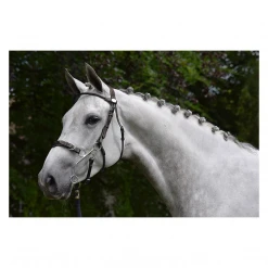 French Equestrian English Bridles Jump'in Hackamore Bridle - Week Collection
