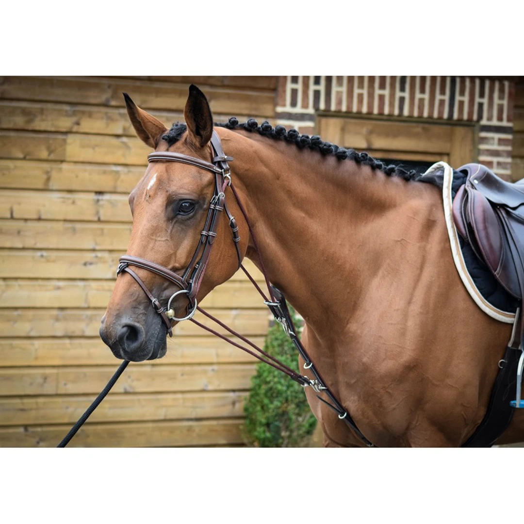 Outlet 🥰 French Equestrian Jump'in De Gogue - One Collection 🔥 3 French Equestrian Jump'in De Gogue - One Collection