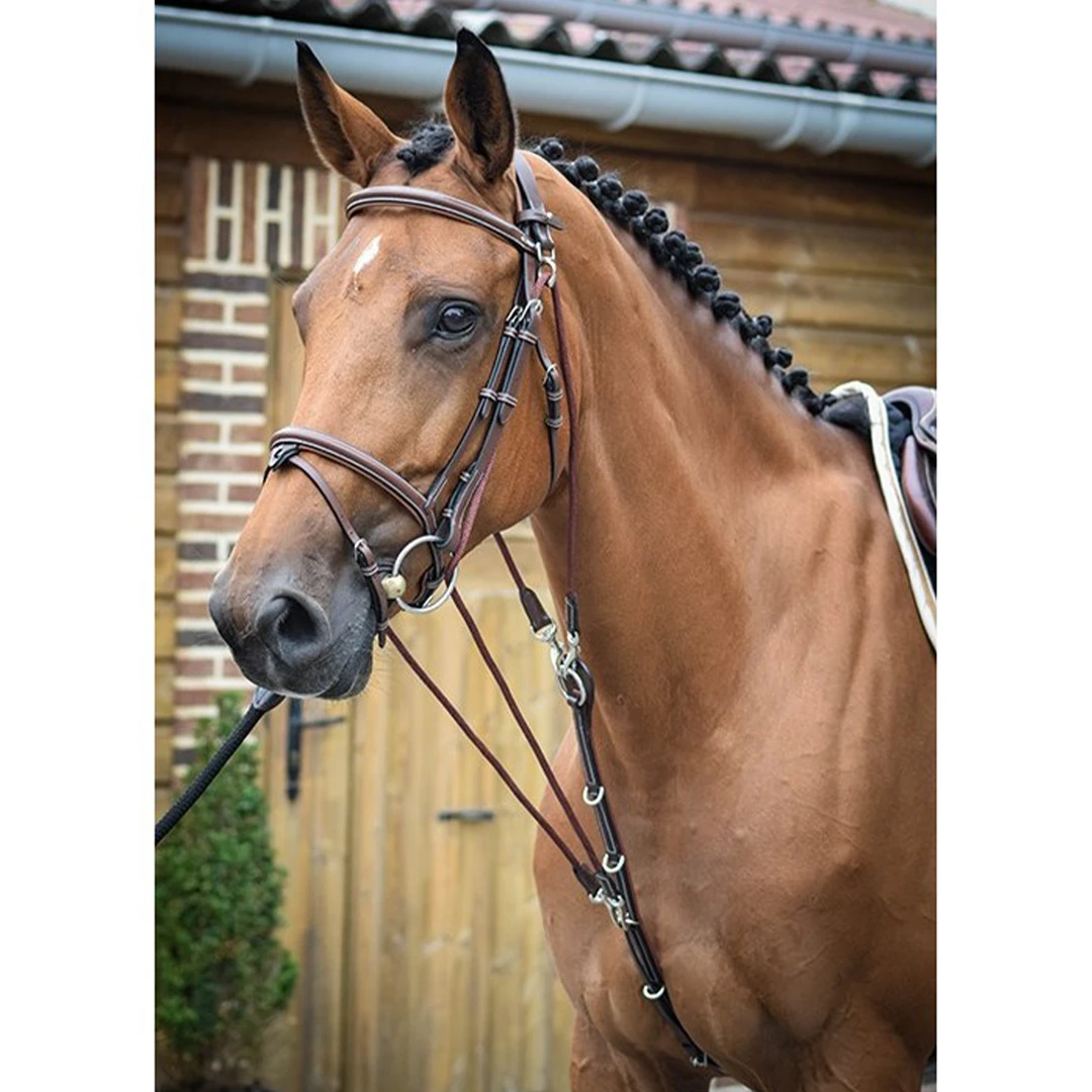 Outlet 🥰 French Equestrian Jump'in De Gogue - One Collection 🔥 4 French Equestrian Jump'in De Gogue - One Collection