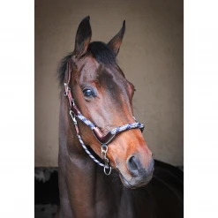 French Equestrian Jump' In Travel Halter - One Collection