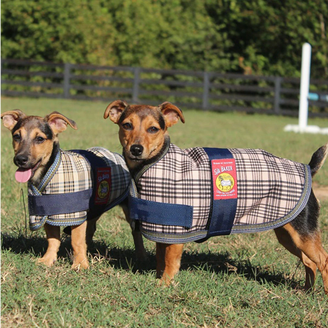 Buy ✨ Jacks Mfg 5/A Baker Dog Blanket ✨ 5 Jacks Mfg 5/A Baker Dog Blanket