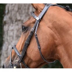 French Equestrian English Bridles Jump'in Thursday Bridle - Week Collection