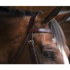 English Bridles Black Oak By KL Select Foxtrot Hunt Bridle
