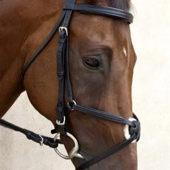 Outlet π Nunn Finer Fair Hill Figure 8 Bridle π 10 Nunn Finer Fair Hill Figure 8 Bridle