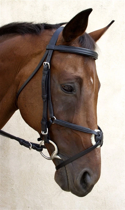 Outlet π Nunn Finer Fair Hill Figure 8 Bridle π 6 Nunn Finer Fair Hill Figure 8 Bridle