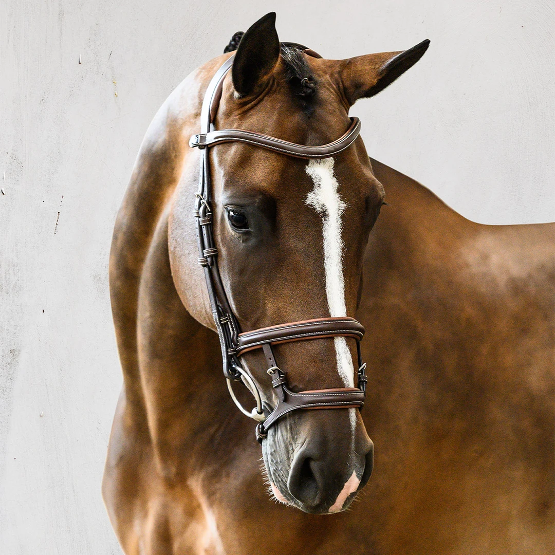 Promo โจ English Bridles PS Of Sweden Paris Bridle ๐ 3 English Bridles PS Of Sweden Paris Bridle